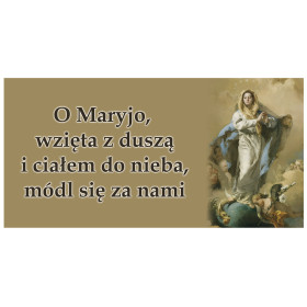 Baner z Matką Bożą