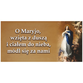 Baner z Matką Bożą