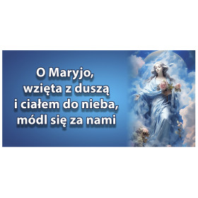 Baner z Matką Bożą
