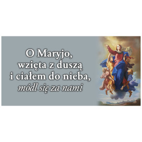 Baner z Matką Bożą